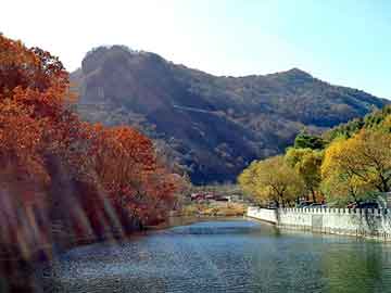 管家婆黑白马报图库，杰德论坛